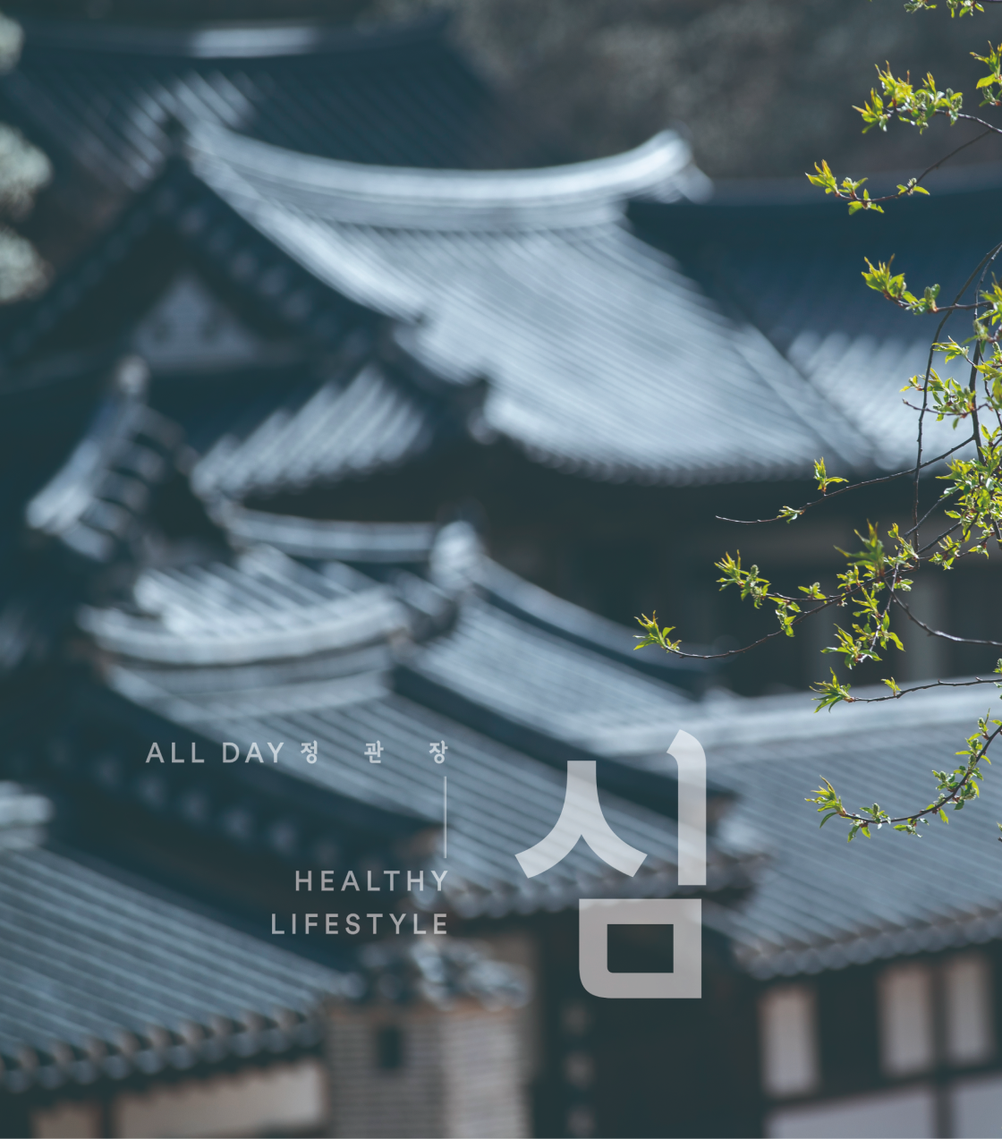 강릉, 하면 왜 때문인지 모를커피를 빼놓을 수 없는데,